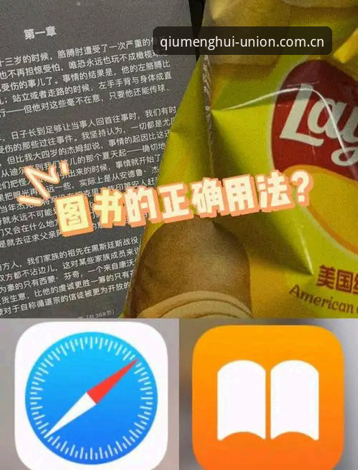 球盟会苹果版使用指南：从入门到精通的完整教程